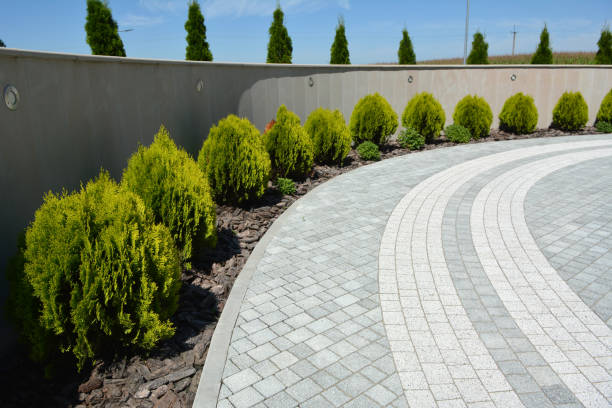 Best Best Driveway Pavers  in Wooster, AR